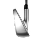 Apex Pro Iron 24