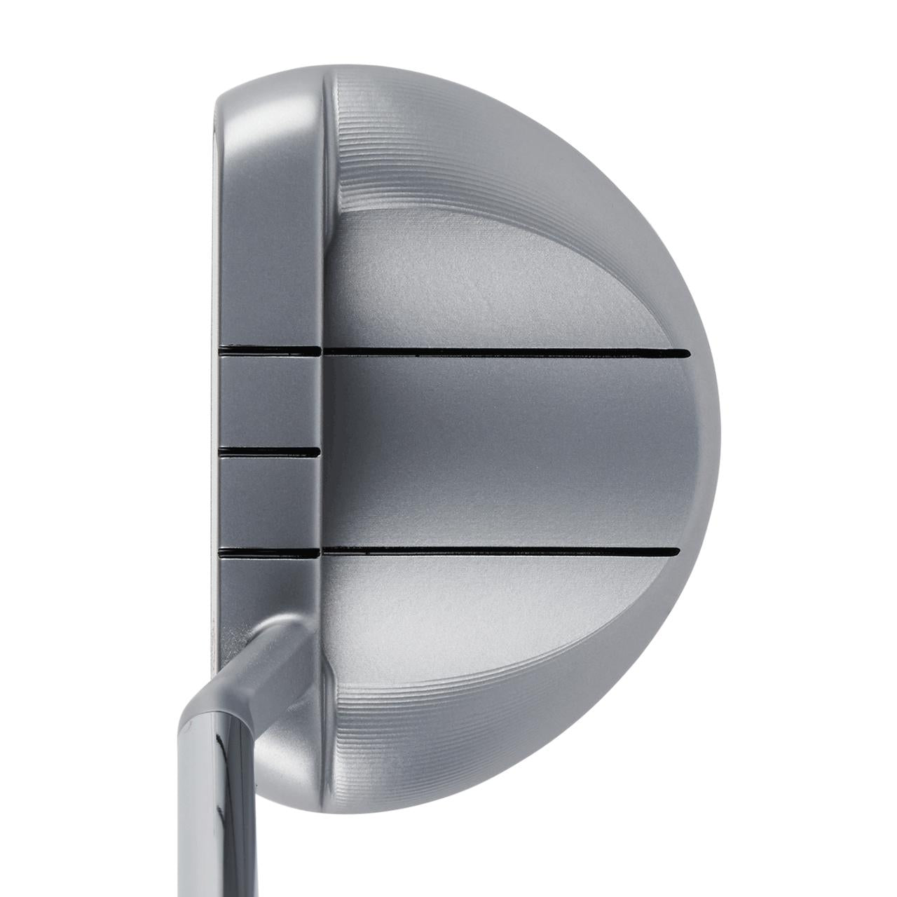 PTWHOG21SL ROSSIE S
